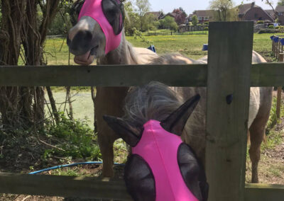 Hogs Wallow Community Group LTD